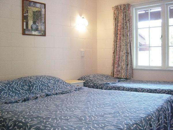 Browns Bay Olive Tree Motel & Apartment Okura Bush Bilik gambar