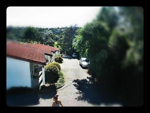 Browns Bay Olive Tree Motel & Apartment Okura Bush Luaran gambar
